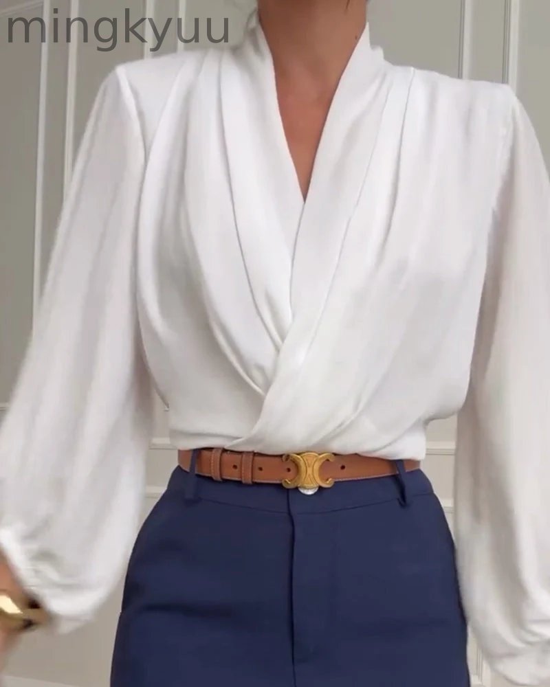 Trendy Lantern Sleeve Blouse with Solid V-Neck